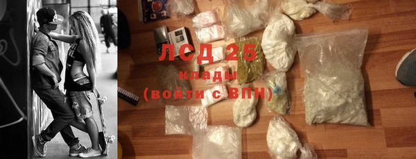 стаф Дмитриев