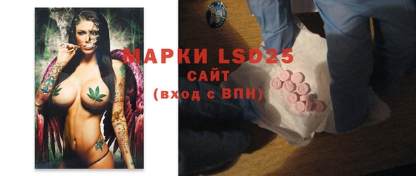 ECSTASY Елизово