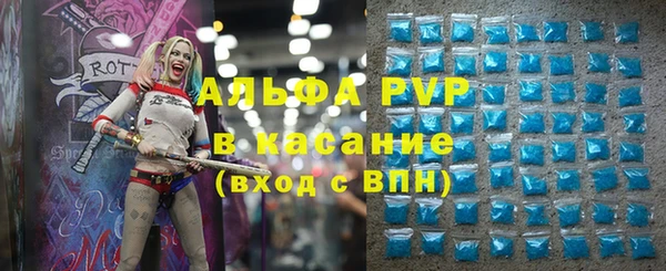 стаф Дмитриев