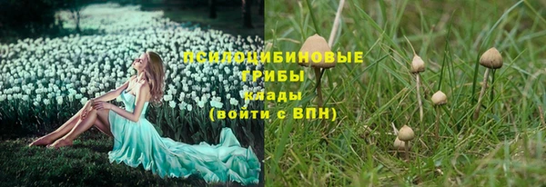 мескалин Дмитров