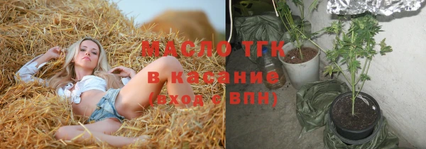 стаф Дмитриев