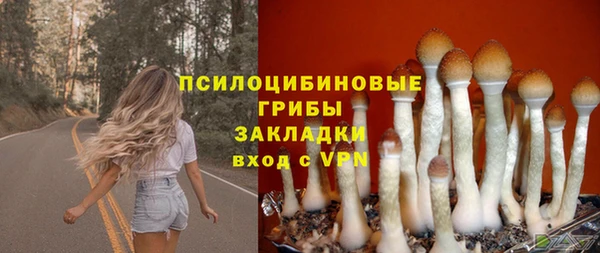 прущая мука Дмитровск