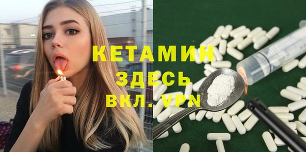 стаф Дмитриев