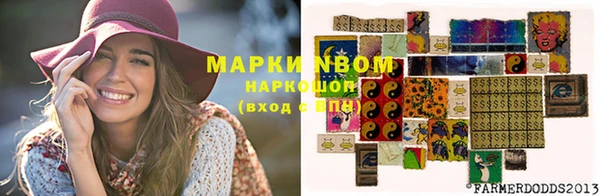 прущая мука Дмитровск