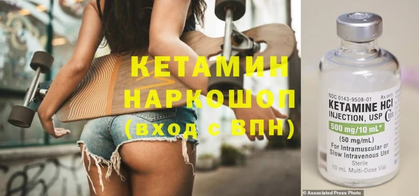 стаф Дмитриев