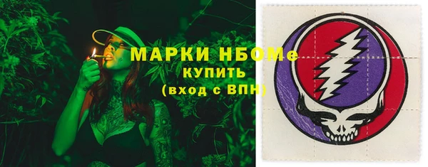 стаф Дмитриев