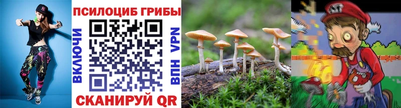 Псилоцибиновые грибы Cubensis  Купить закладки  Тамбов 